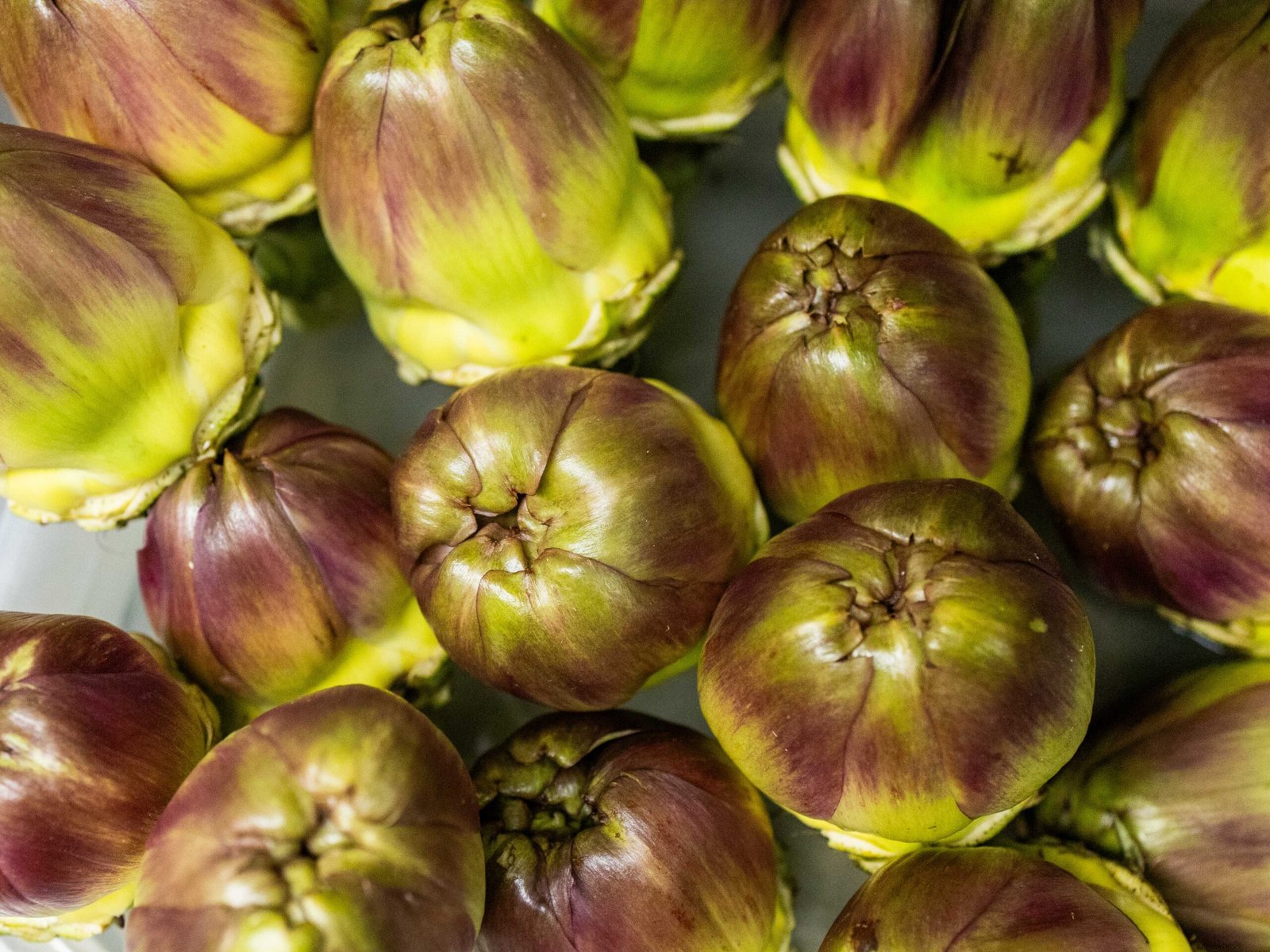 Cleaning the artichokes and cooking in the pan