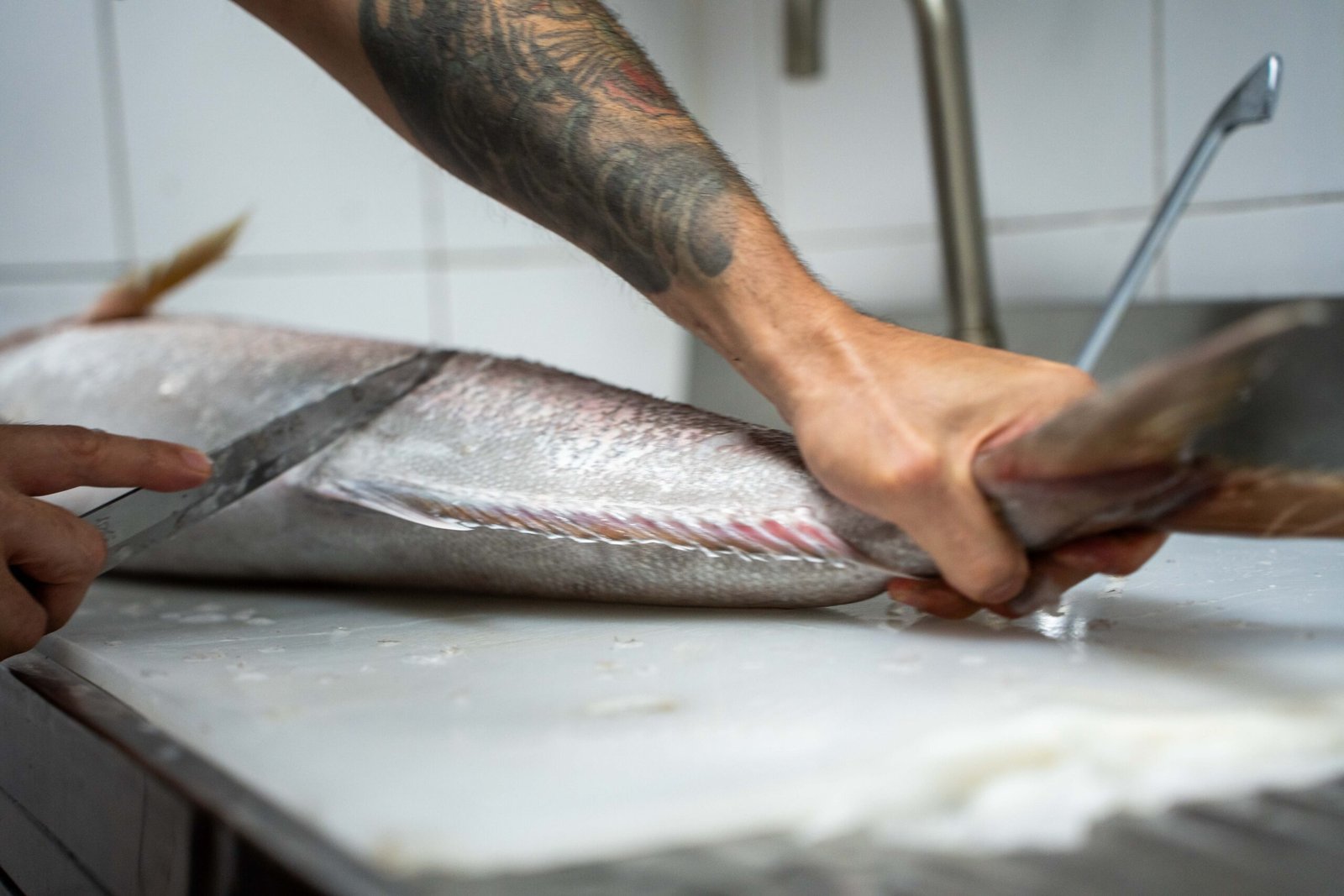 Pulizia della ricciola